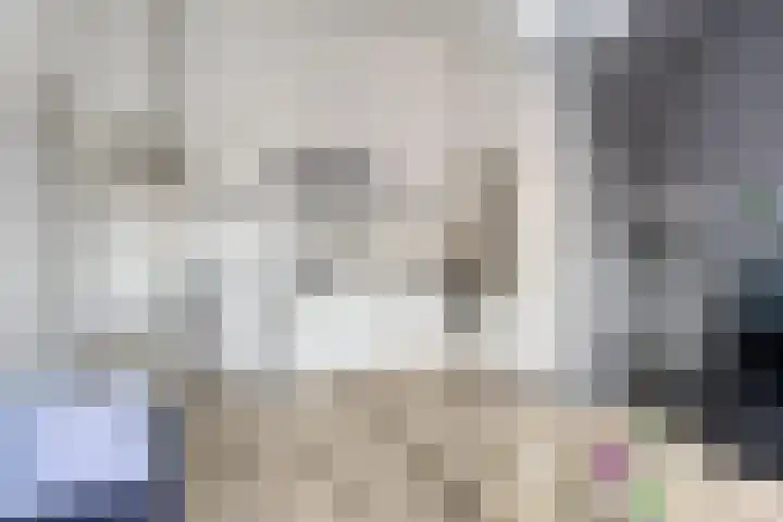 Stratumsedijk 23 83 Eindhoven thumbnail 13