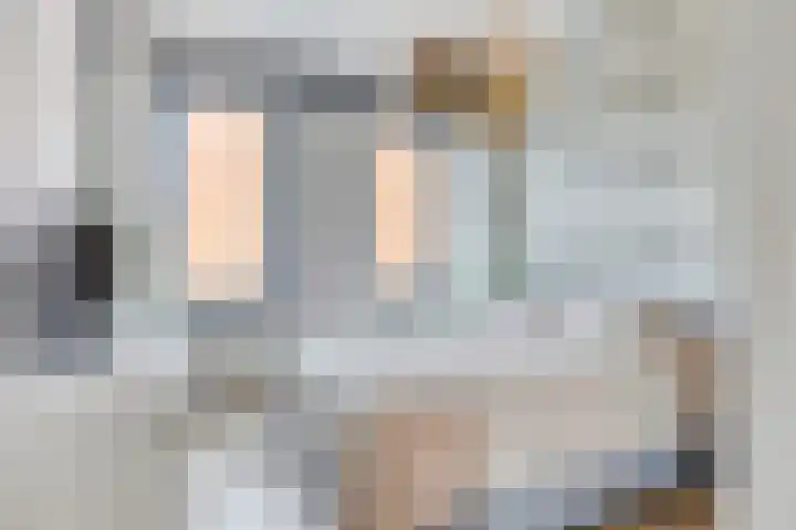 Stratumsedijk 23 83 Eindhoven thumbnail 17
