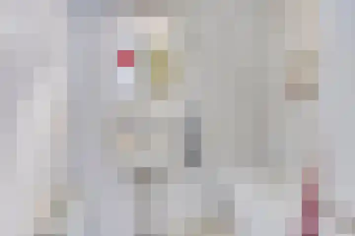 Stratumsedijk 23 83 Eindhoven thumbnail 21