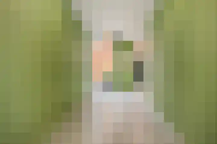 Stratumsedijk 23 85 Eindhoven thumbnail 11