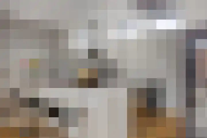 Stratumsedijk 23 85 Eindhoven thumbnail 22