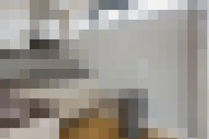Stratumsedijk 23 85 Eindhoven thumbnail 26