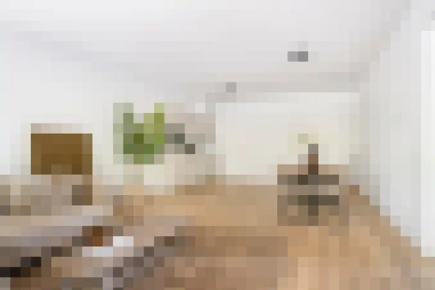 Stratumsedijk 75 C Eindhoven thumbnail 19