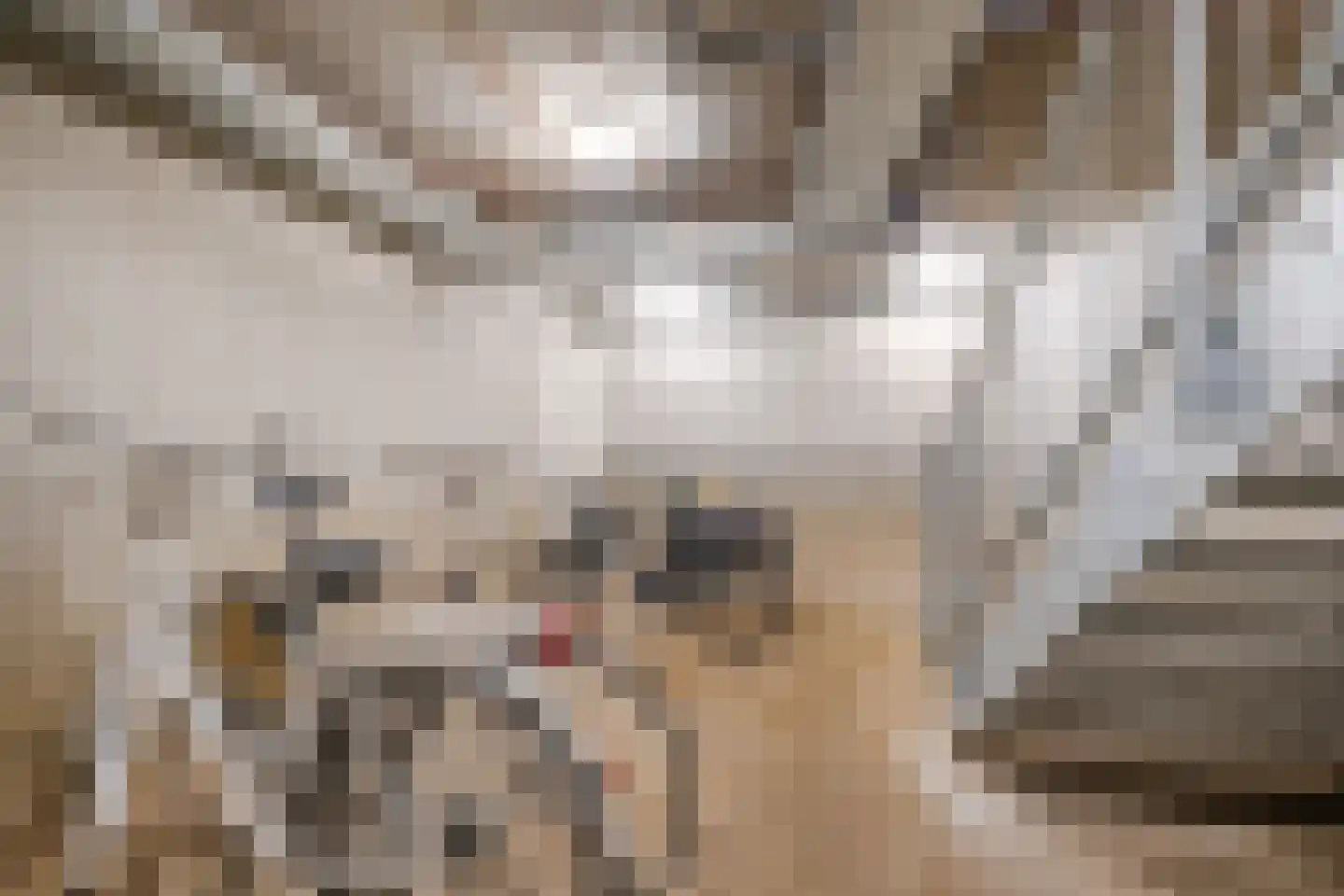 Stratumseind 107 Eindhoven thumbnail 25