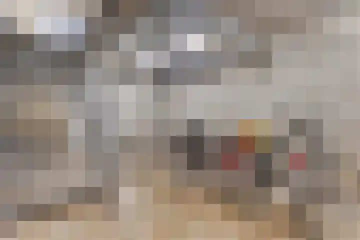 Stratumseind 129 Eindhoven thumbnail 18