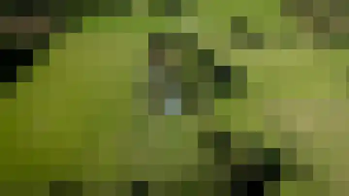 Stratumseind 129 Eindhoven thumbnail 6