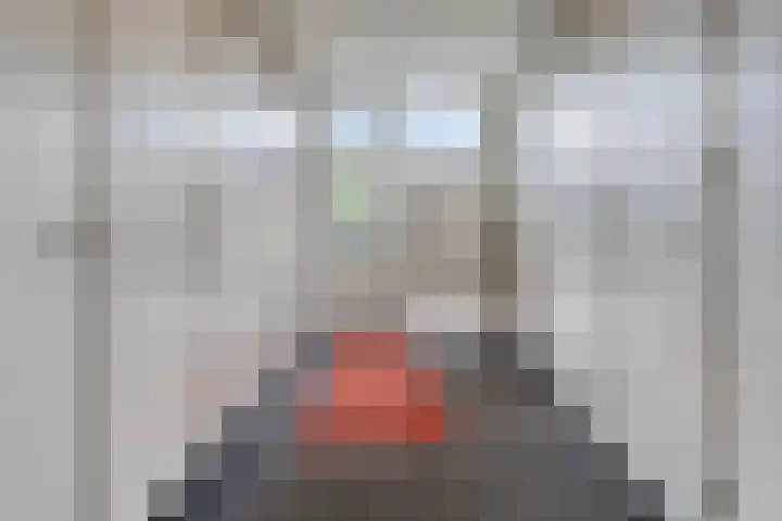 Stratumseind 129 Eindhoven thumbnail 6