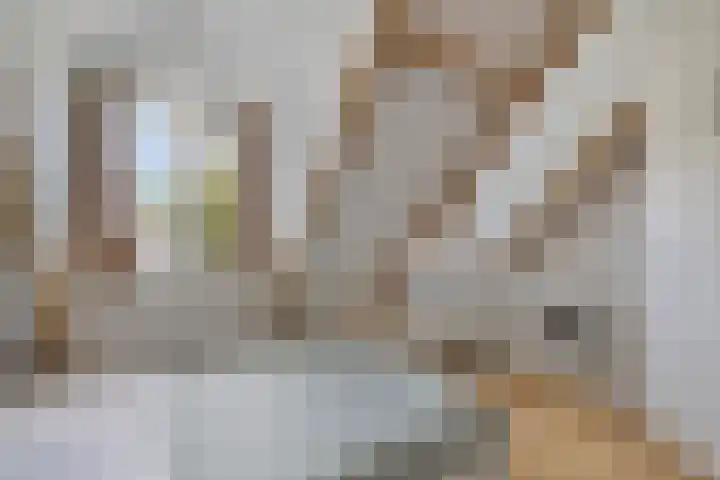 Stratumseind 135 Eindhoven thumbnail 10