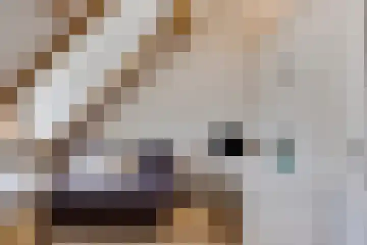 Stratumseind 135 Eindhoven thumbnail 8