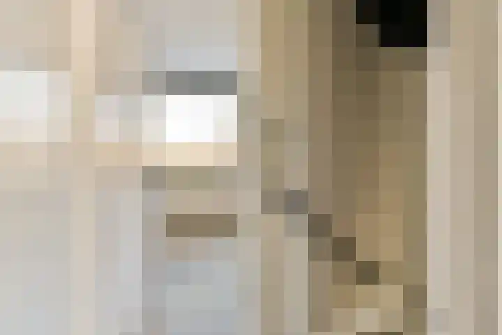 Strauss 11 Naaldwijk thumbnail 10