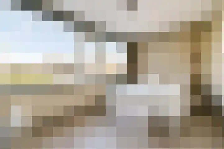 Strauss 11 Naaldwijk thumbnail 11