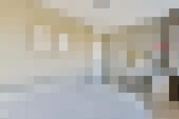 Strauss 11 Naaldwijk thumbnail 12
