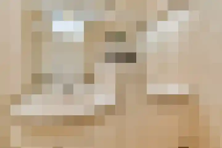 Strauss 11 Naaldwijk thumbnail 13
