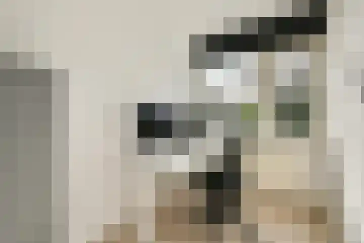 Strauss 11 Naaldwijk thumbnail 17