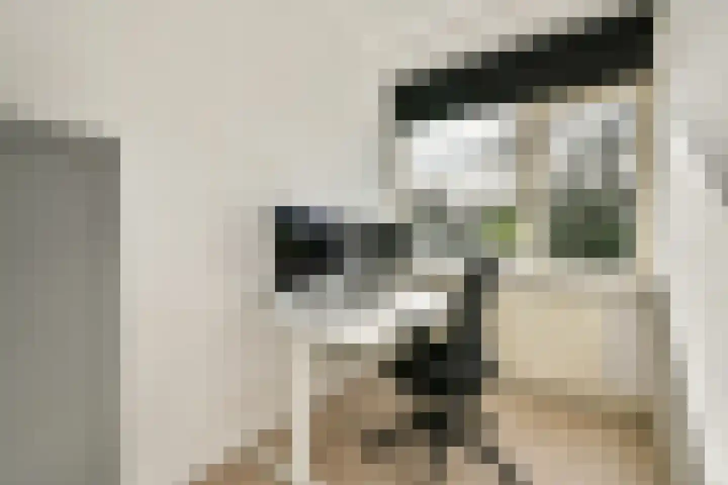 Strauss 11 Naaldwijk thumbnail 17