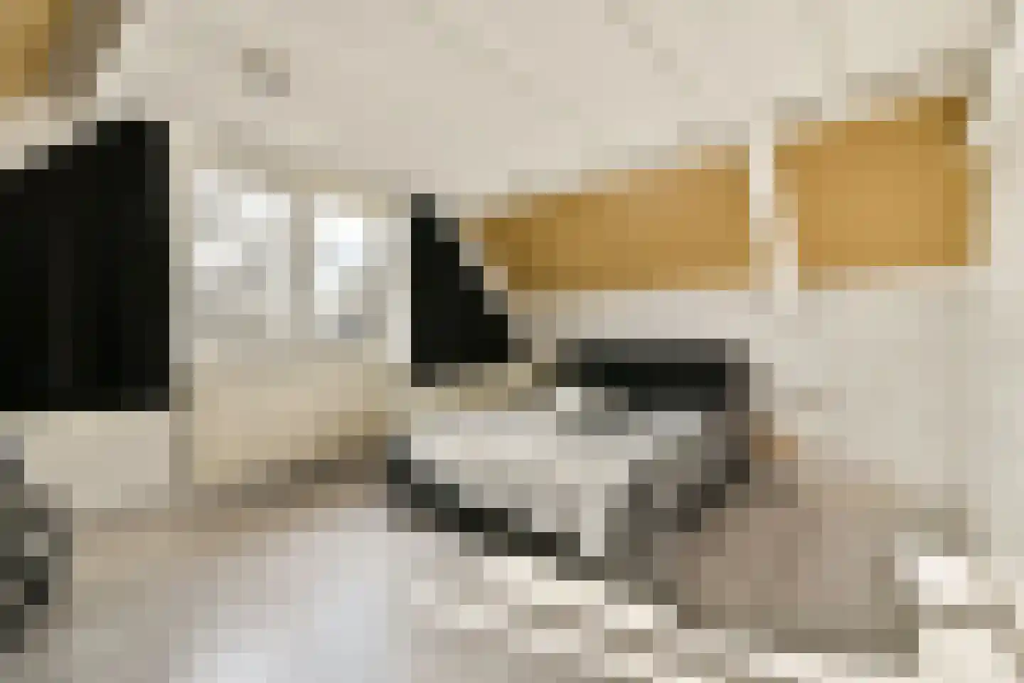 Strauss 11 Naaldwijk thumbnail 18