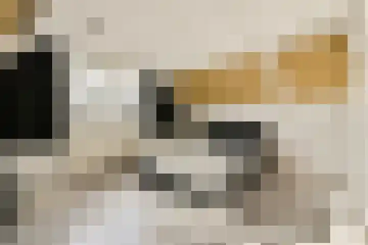 Strauss 11 Naaldwijk thumbnail 18