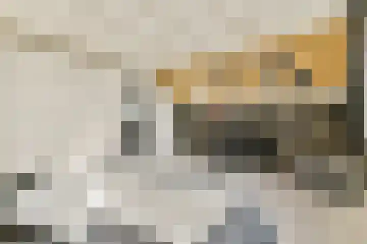 Strauss 11 Naaldwijk thumbnail 19