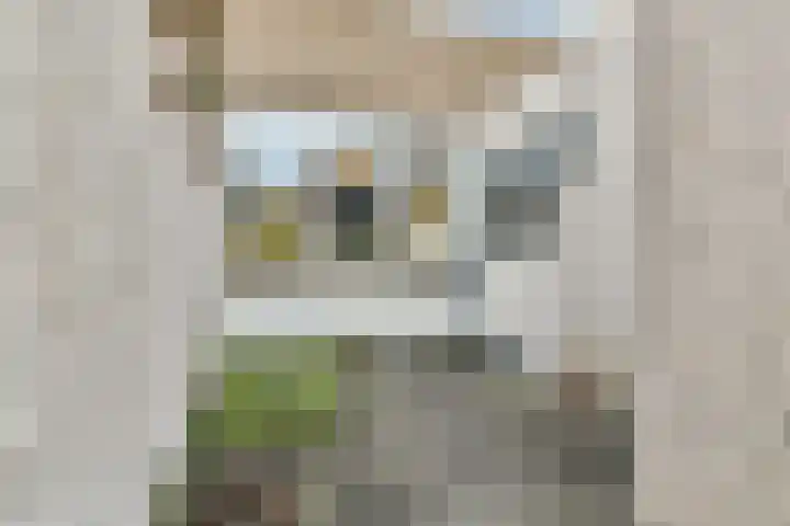 Strauss 11 Naaldwijk thumbnail 21