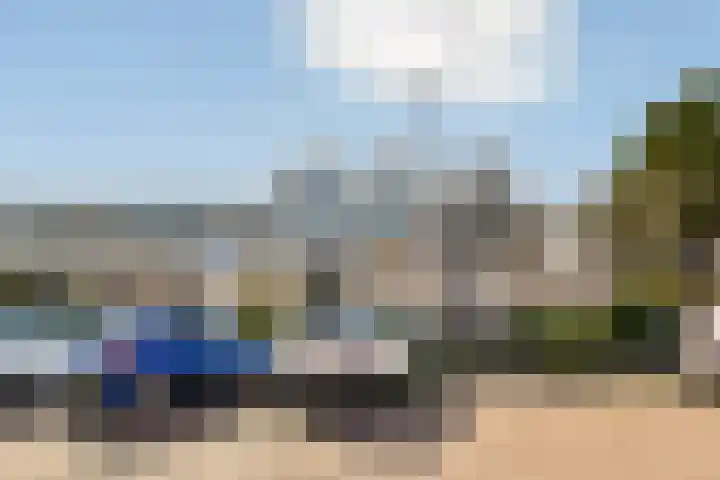 Strauss 11 Naaldwijk thumbnail 22