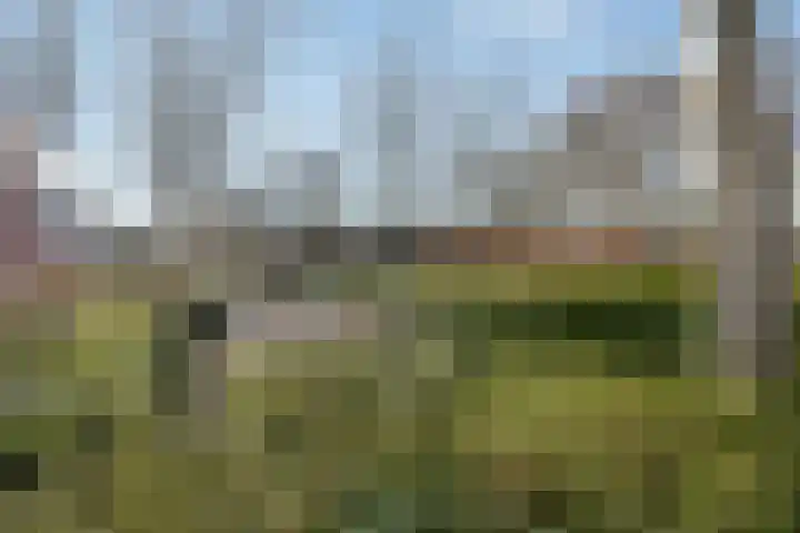 Strauss 11 Naaldwijk thumbnail 25