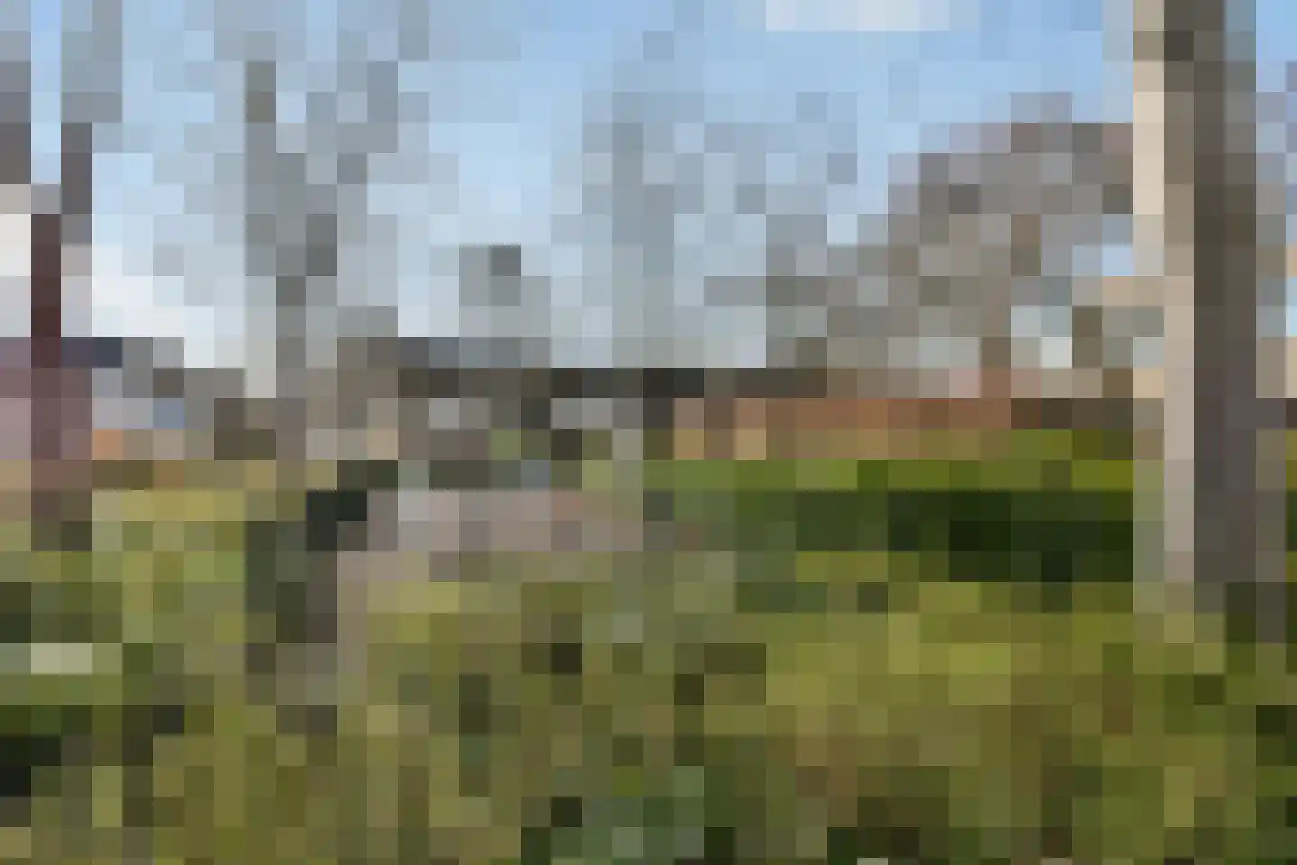 Strauss 11 Naaldwijk thumbnail 25