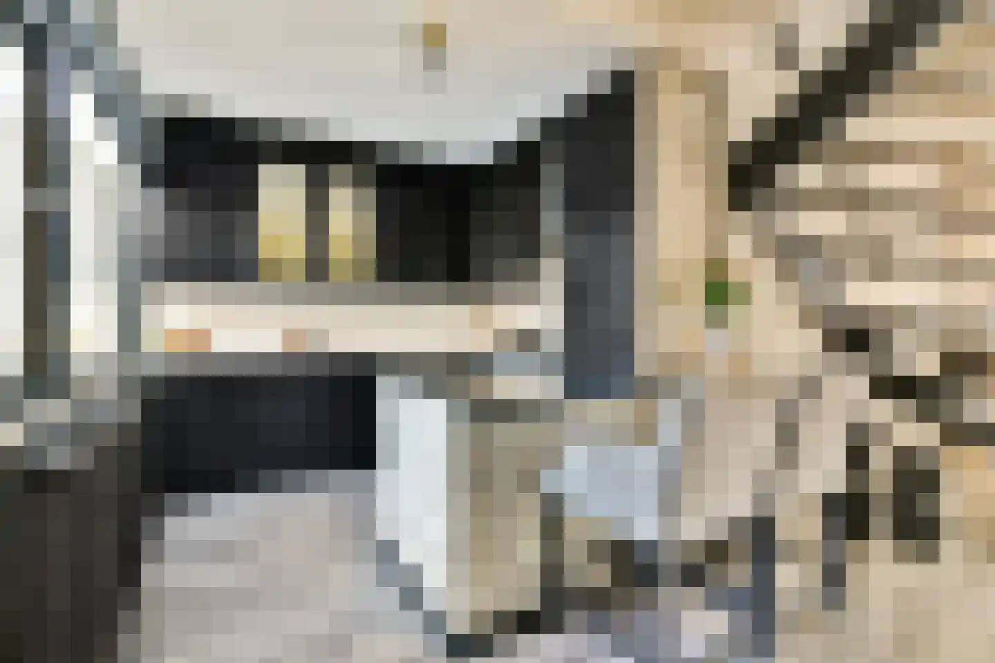 Strauss 11 Naaldwijk thumbnail 4