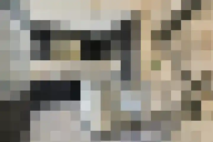 Strauss 11 Naaldwijk thumbnail 4