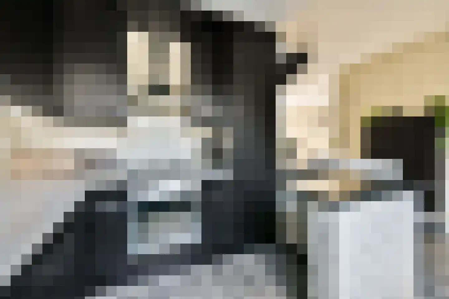Strauss 11 Naaldwijk thumbnail 5