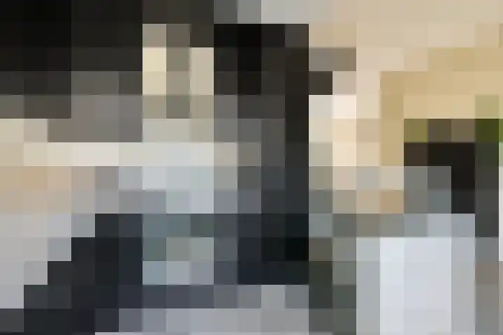 Strauss 11 Naaldwijk thumbnail 5