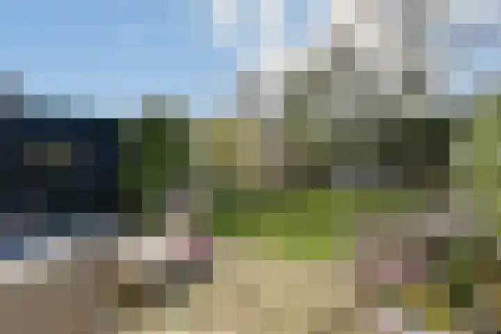Strauss 11 Naaldwijk thumbnail 6