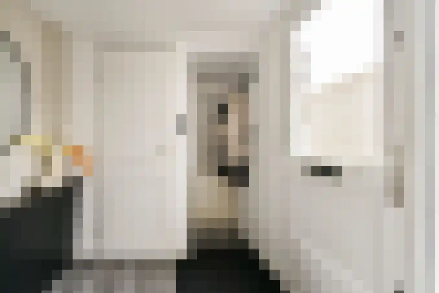Strauss 11 Naaldwijk thumbnail 7
