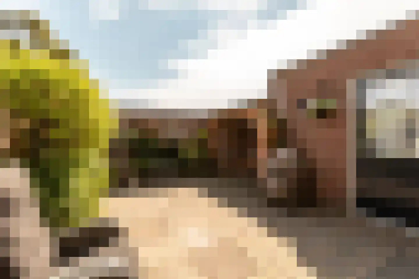 Straussdreef 1 Harderwijk thumbnail 42