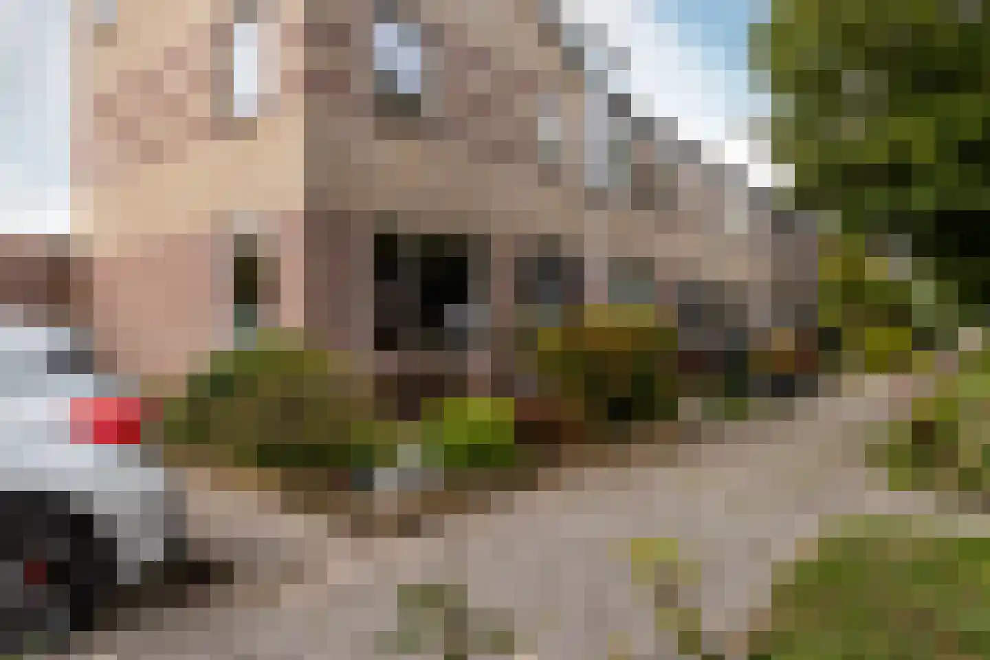 Straussdreef 1 Harderwijk thumbnail 51