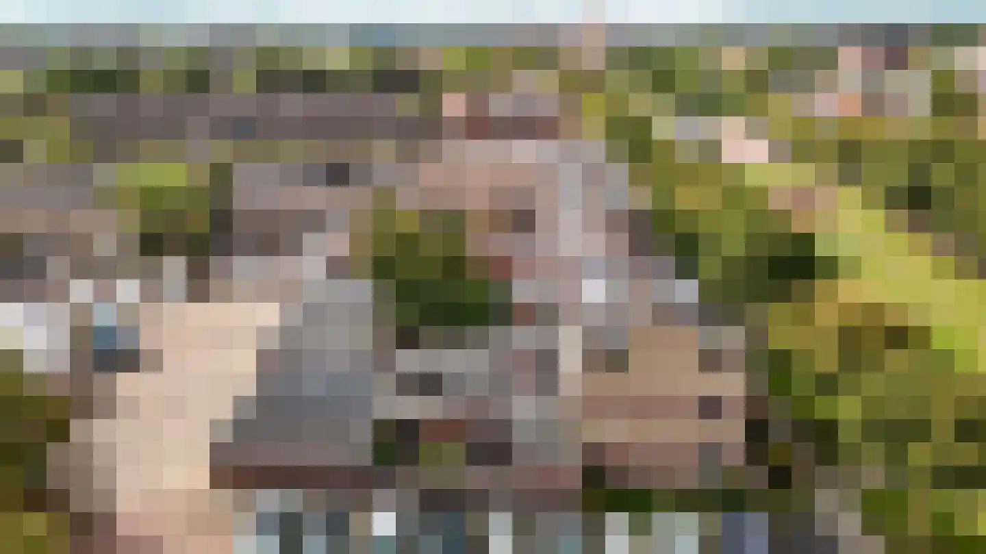 Straussdreef 1 Harderwijk thumbnail 59