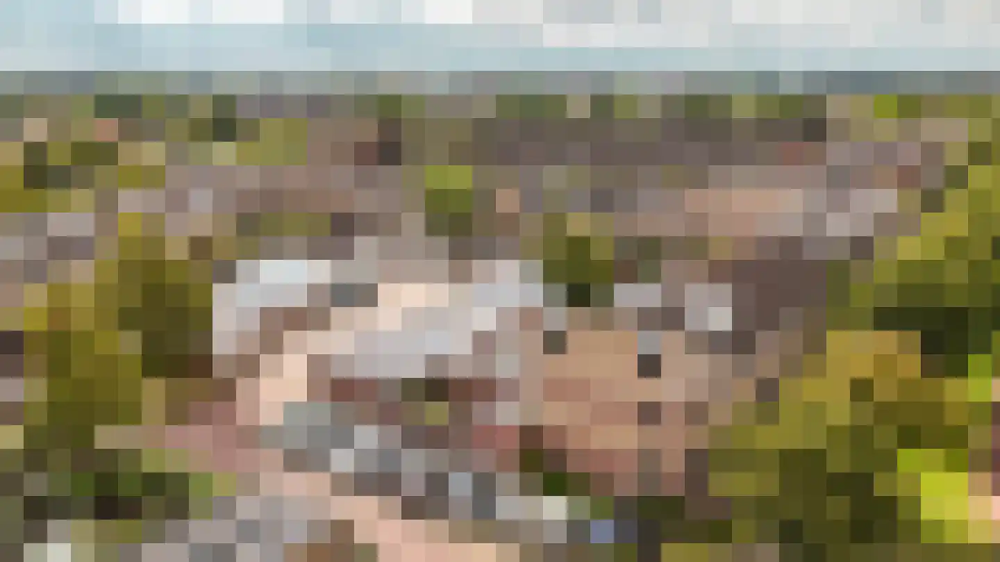 Straussdreef 1 Harderwijk thumbnail 60