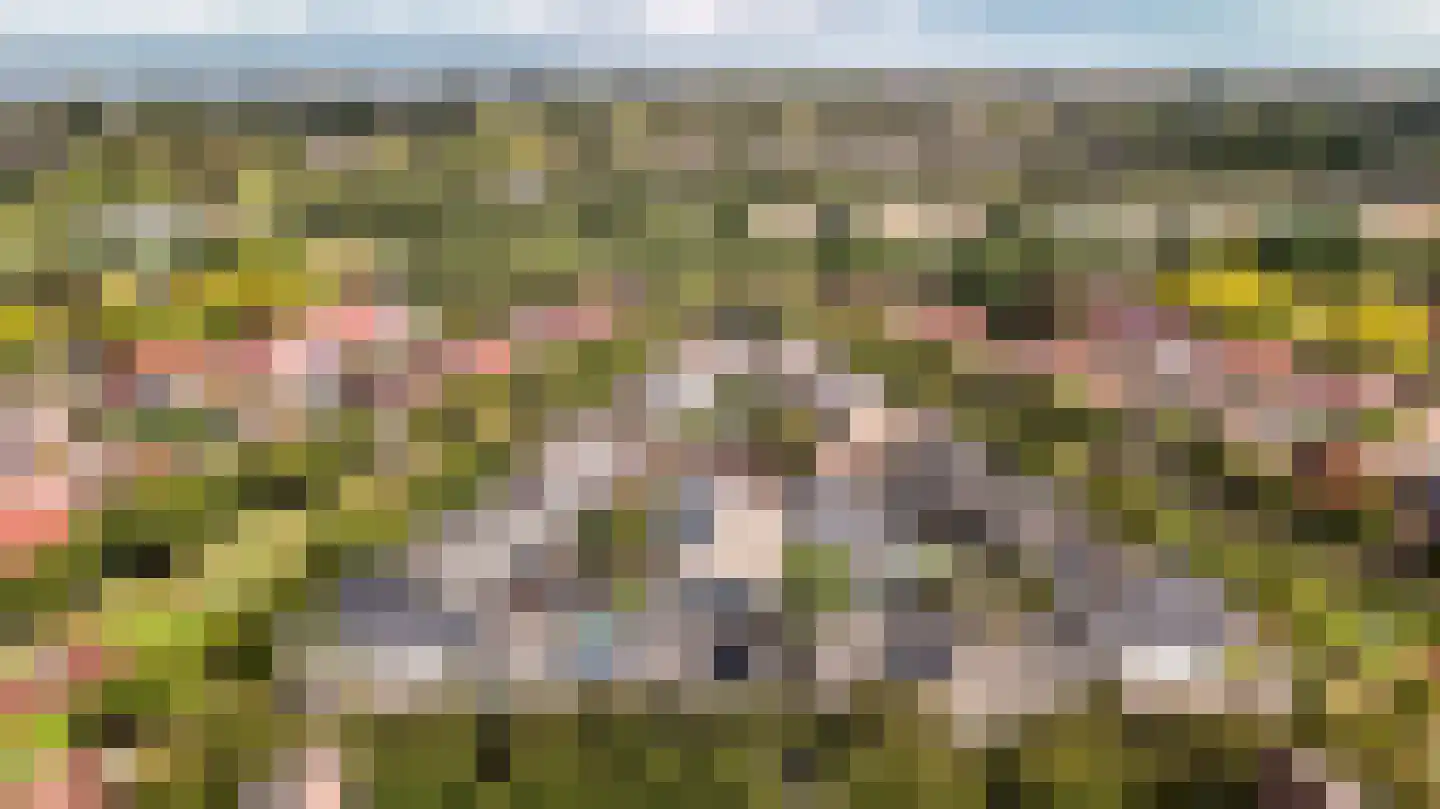 Straussdreef 1 Harderwijk thumbnail 62