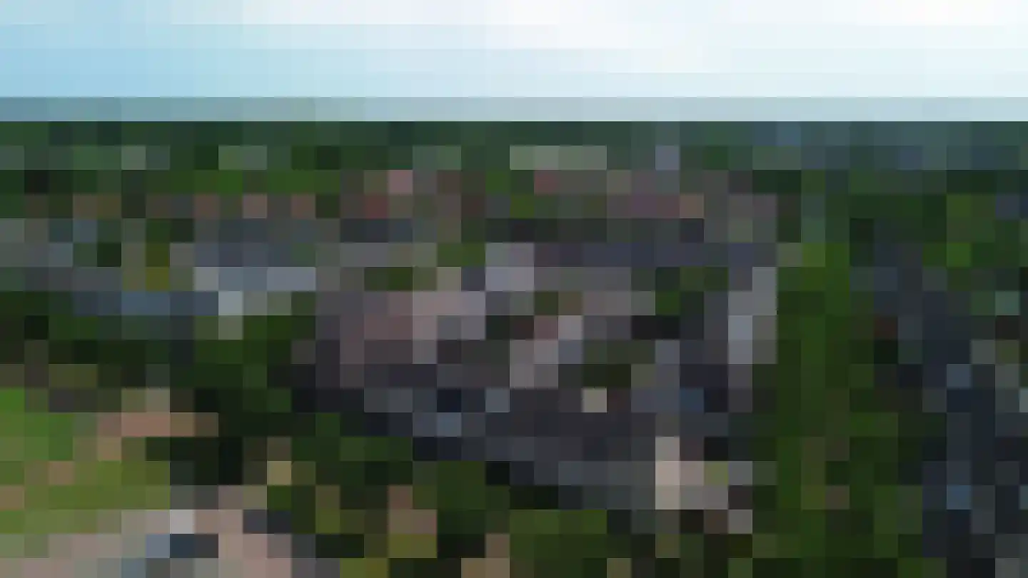 Straussdreef 29 Harderwijk thumbnail 33