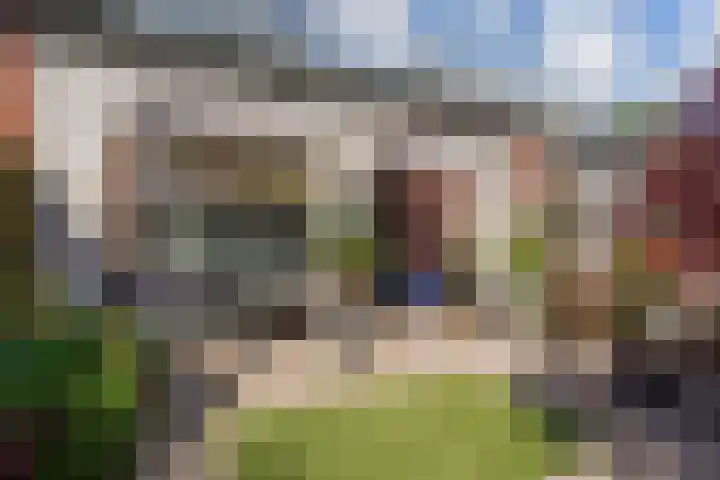 Strausserf 1 Gouda thumbnail 10