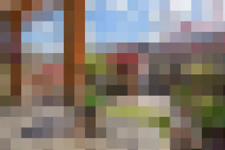 Strausserf 1 Gouda thumbnail 11
