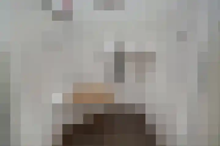 Strausserf 1 Gouda thumbnail 13