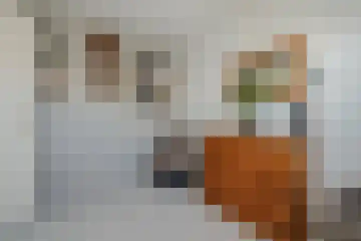 Strausserf 1 Gouda thumbnail 18