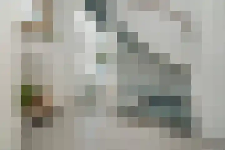Strausserf 1 Gouda thumbnail 23
