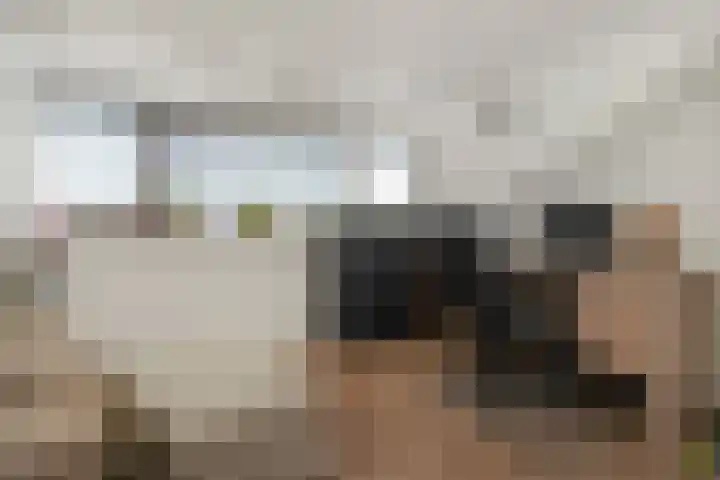 Strausserf 1 Gouda thumbnail 24