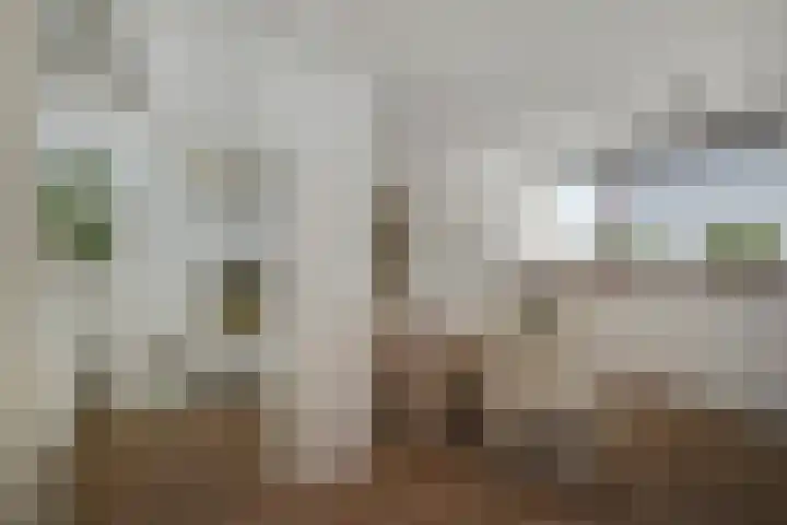 Strausserf 1 Gouda thumbnail 25