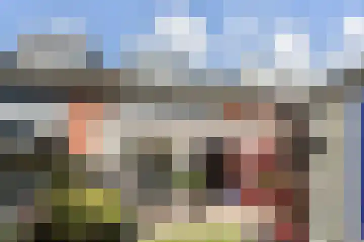 Strausserf 1 Gouda thumbnail 27