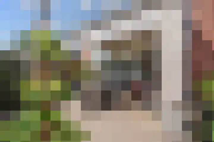 Strausserf 1 Gouda thumbnail 28
