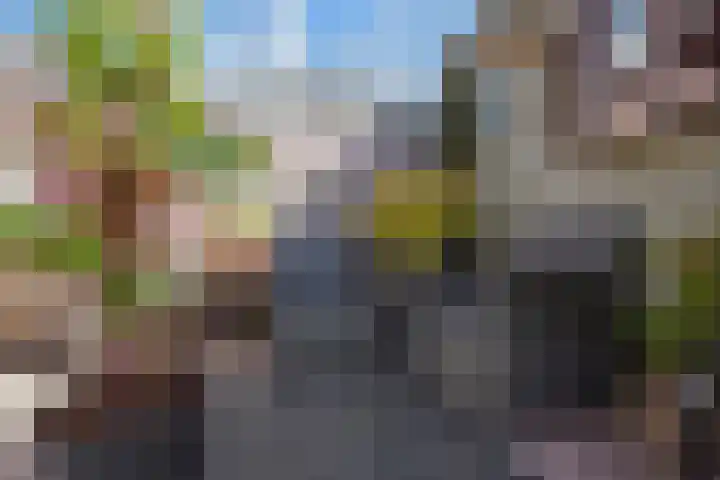 Strausserf 1 Gouda thumbnail 29