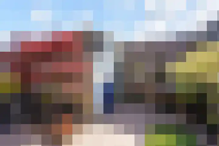 Strausserf 1 Gouda thumbnail 30