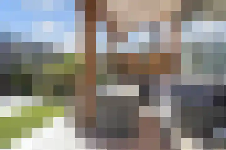 Strausserf 1 Gouda thumbnail 4